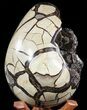 Septarian Dragon Egg Geode - Black Crystals #55490-2